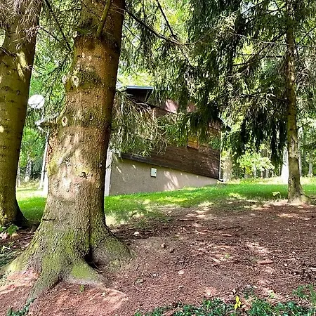 Lodge Adam U Lipna *