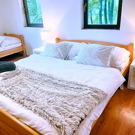 Adam U Lipna Lodge Horní Planá