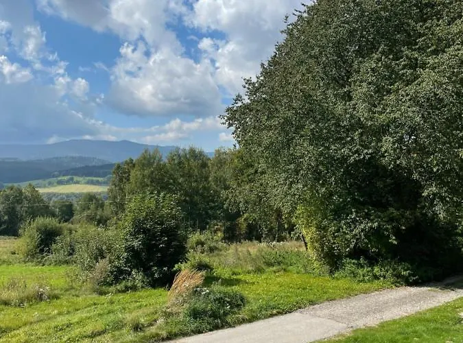Adam U Lipna Horní Planá