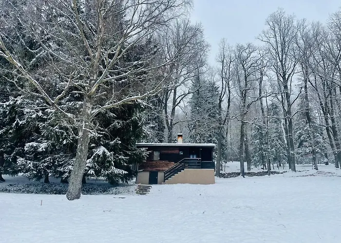 Adam U Lipna * Horní Planá